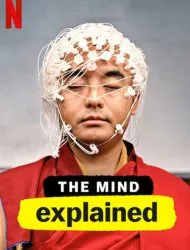 Le Cerveau, en bref