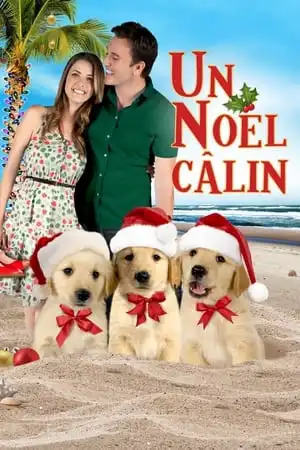 3 amis pour Noël
