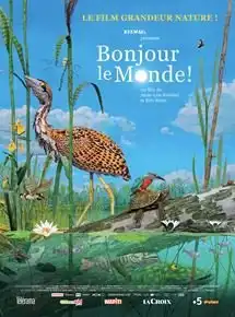 Bonjour le monde !