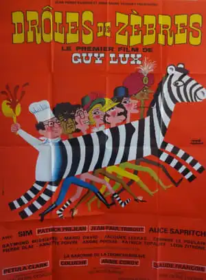 Drôles de zèbres