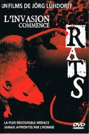 Rats, l'invasion commence