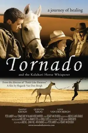 Tornado - L'étalon du désert