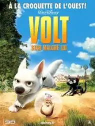 Volt, star malgré lui